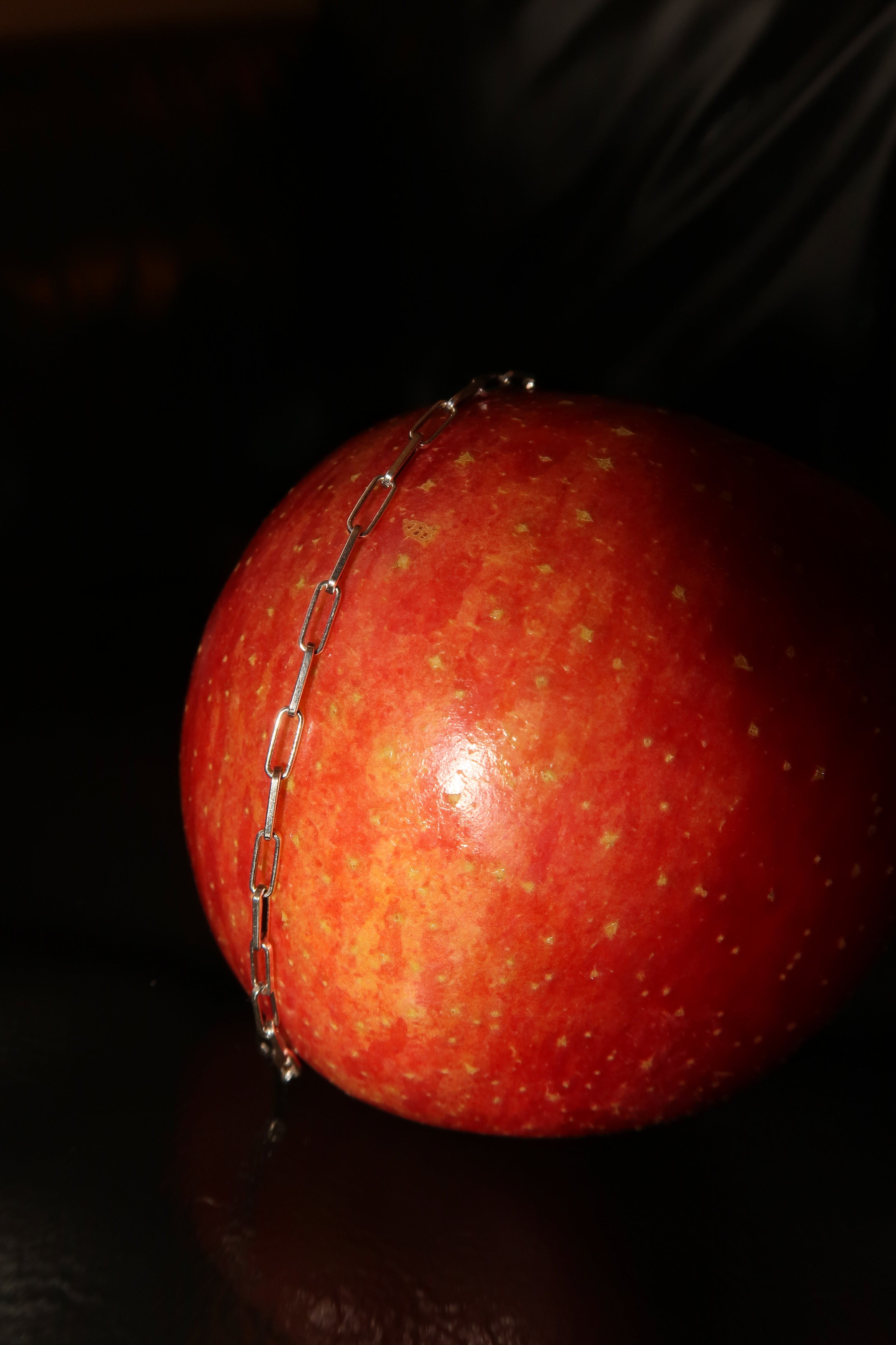 Paperclip Chain Necklace