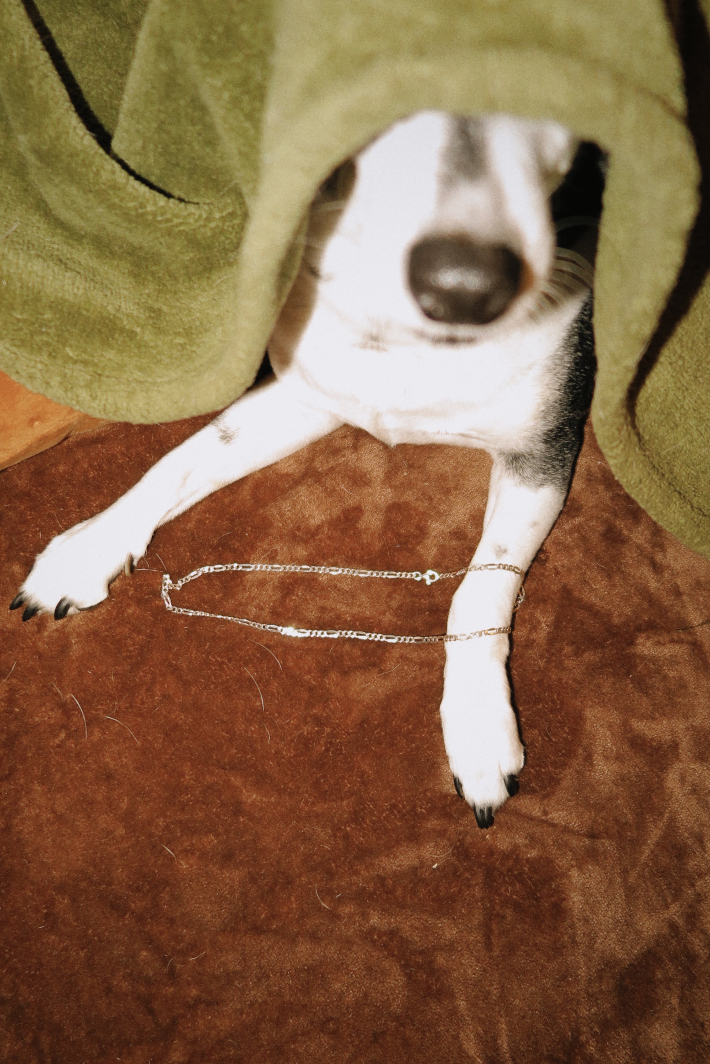 Figaro Chain Necklace