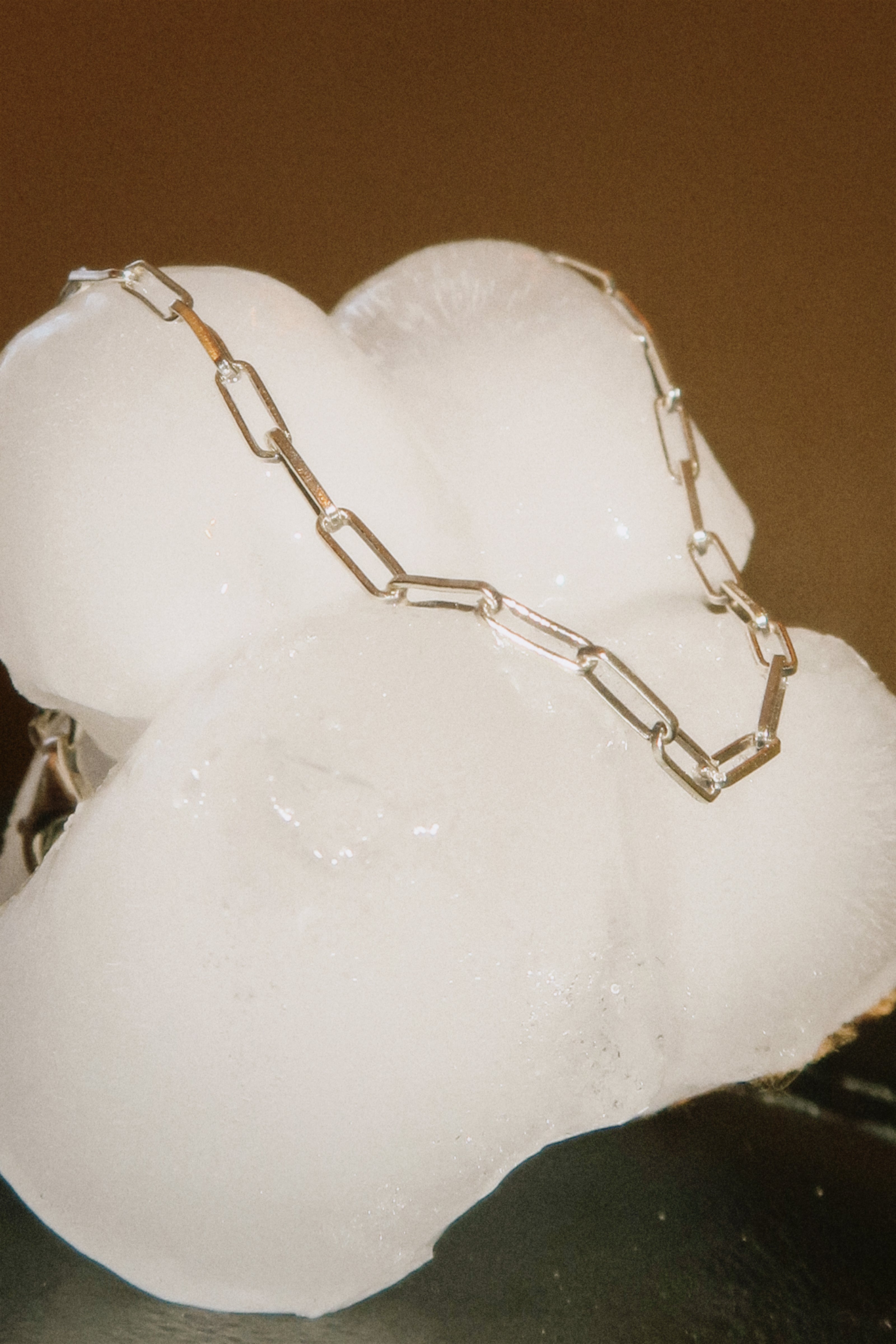 Paperclip Chain Anklet